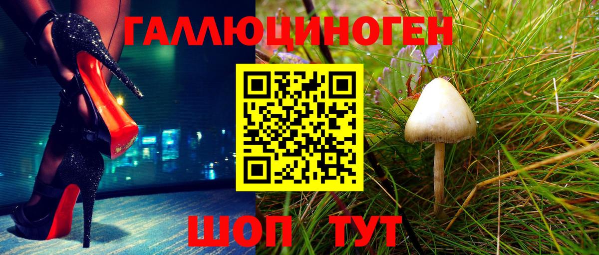 Псилоцибиновые грибы GOLDEN TEACHER  Вход с VPN  Добрянка 