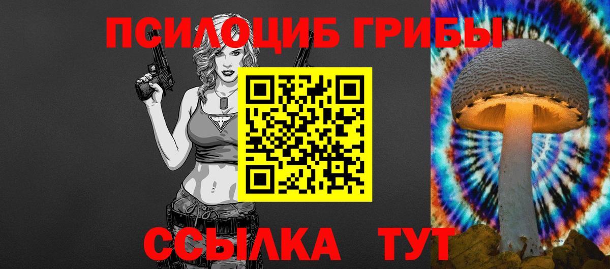 Псилоцибиновые грибы Psilocybine cubensis Добрянка